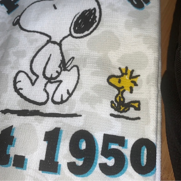 Peanuts Snoopy Woodstock 2pk Mini Mitts & 2pk Kitchen Towels - Picture 3 of 6